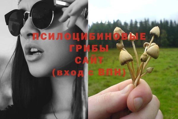 мескалин Абинск