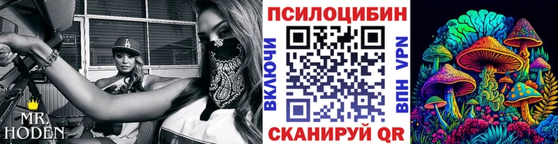 магазин Вилючинск Галлюциногенные грибы Magic Shrooms